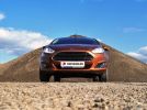 Ford Fiesta: Средство от скуки - фотография 10